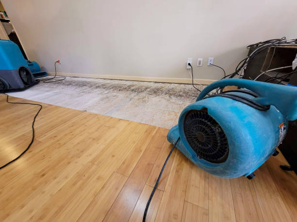 Professional Sewage Cleanup technician working in Freeport, TX